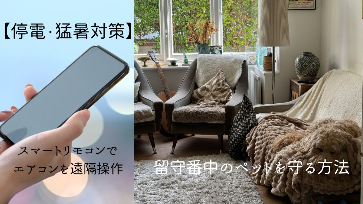 スマホでスマートリモコンを操作してお留守番中のペットを守っている